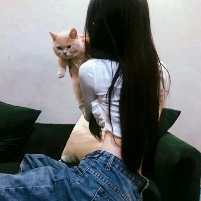 艾尔菲·霍普金斯
